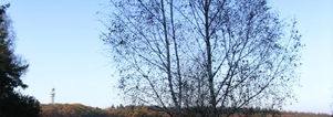Herfst Wandelcafé Renderklippen Epe (sorry dus NIET Ede)