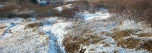 Nieuwjaarswandeling Waterleidingduinen Zandvoort