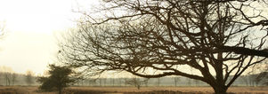 Pasen Single Weekend weg - Mooi Drenthe!