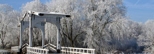 Winter Wandelcafé Amsterdamse Bos. Singles 35+