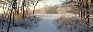 Winter Wandelcafé Veluwe Epe