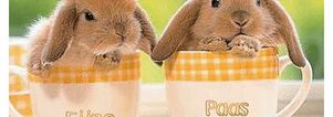Eat & Meet Paasbrunch Arnhem (Doorwerth). Singles 35+