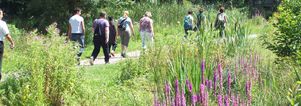 Zaterdag wandelen Utrecht. Amelisweerd