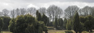 Wandelcafé Hattem & Algemene Veen. Singles 35+