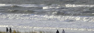 Wandelcafé Strand & Duinen Meijendel Wassenaar