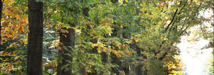 Wandelcafé singles Breda Mastbos & rivier Mark