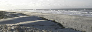 Wandelcafé duinen & strand Zandvoort
