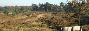 Pinksteren Wandelcafé Zeist. Landgoed Heidestein. Singles 35+