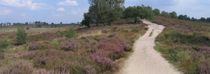 Wandelcafé Noord-Limburg. Wellerlooi. Landgoed de Hamert