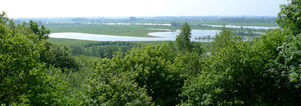 Wandelcafé Rhenen en Grebbeberg.