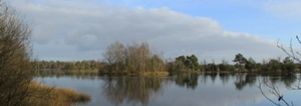 Wandelcafé Leersumse Veld. Vennen, heide, bos