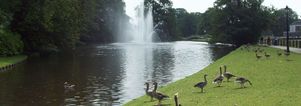 Wandelen Sonsbeek Arnhem. Singles 35+
