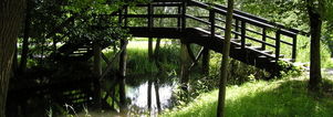 Singles fietsvakantie Spreewald. Duits Venetië. 7 dagen.