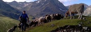 Singles wandelreis Oostenrijk. Ötztal,Tirol. 8 dagen.