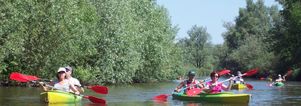 Pinksteren weekendje weg Biesbosch. Singles 40+ GAAT NIET DOOR