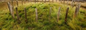Wandelcafé Riel bij Goirle- Tilburg, Regte Heide