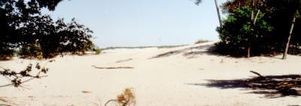 Winter Wandelcafé Drunen. Loonse en Drunense Duinen