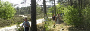Wandelcafé Landgoed Birkhoven/ Soesterduinen Soest