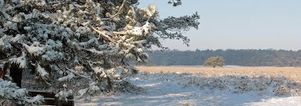Winter wandelcafé Zuiderheide bij Hilversum. Singles 40+ 50+