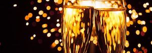 Oud & Nieuw XXL Singleparty & diner Wageningen. Singlesfeest 40+50+60+. 2014 WAS GEWELDIG!