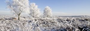 Wandelcafé Ginkelse Heide singles 40+ 50+ 60+