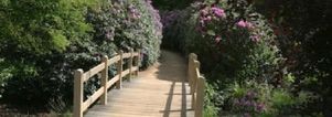 Wandelcafé Baarn Landgoed Groeneveld & De Vuursche. Singles 40+50+60+