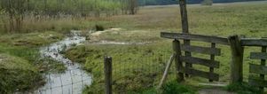 Wandelcafé Epe, Wisselse Veen. Singles 40+50+60+