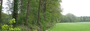Wandelcafé Den Bosch. Landgoed De Pettelaar. SIngles 40+50+60+