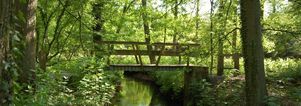 Koningsdag Wandelcafé & Esbeek. Landgoed De Utrecht. GAAT NIET DOOR!