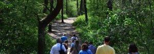 Wandelcafé Loonse en Drunense Duinen. Wandelen singles 40+50+60+