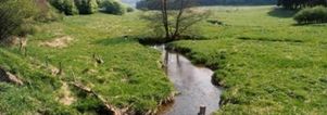 Wandelcafé Liempde. Langs de Dommel!  Wandelen singles 40+ 50+ 60+