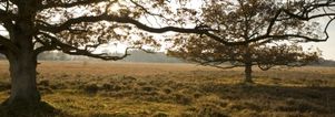 Meditatie- en wandelweekend Drenthe, 4 dgn