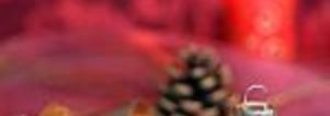 Kerstdiner & Singleparty  Ermelo. Zonder overnachting! Eerste Kerstdag. Singles 40+ 50+ 60+ VOL!