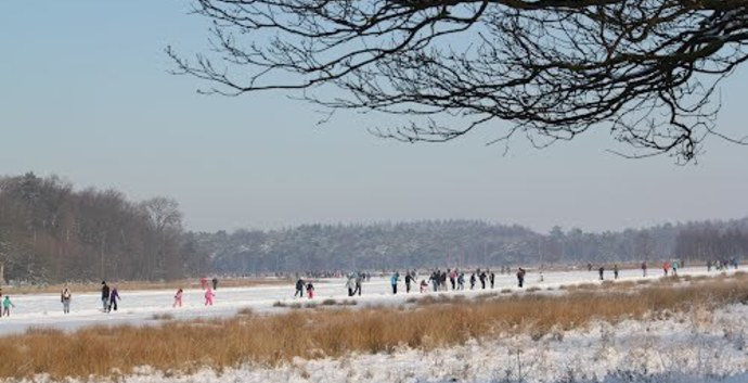 Winter Wandelcafé Leersumse Veld. Vennen, heide, bos. Singles 40+50+60+