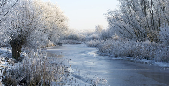 Valentijn Wandelcafé Hollandse Biesbosch. Dordrecht. Wandelen singles 40+ 50+ 60+