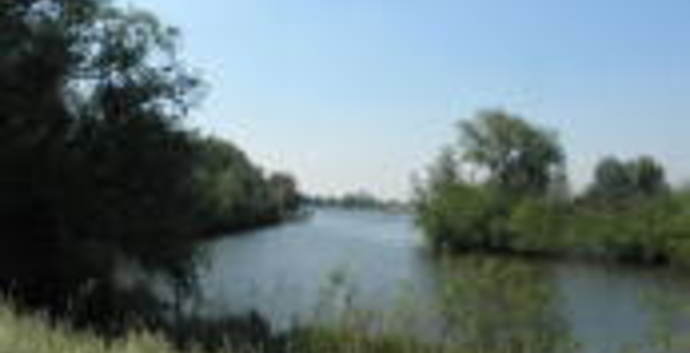 Wandelcafé Hollandse Biesbosch. Dordrecht. Wandelen singles 40+ 50+ 60+