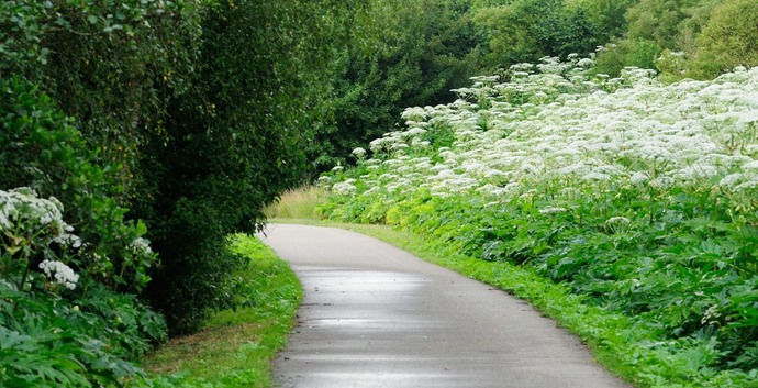 Singles Wandelcafé Rotterdam Hoge en Lage Bergsche Bos