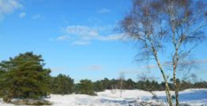 Kerst Wandelcafé Otterlo. Wandelen Singles 40+ 50+ 60+ Nieuwe wandeling