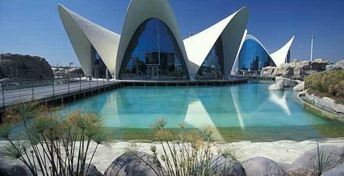 Single Citytrip Valencia - stad en omgeving.