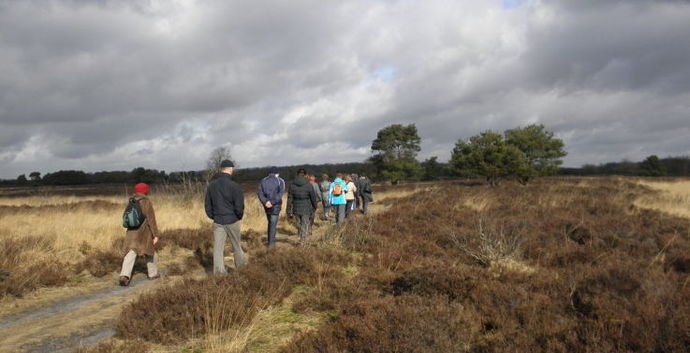 Wandelcafé Vierhouten - Veluwe. Wandelen singles 40+50+60+
