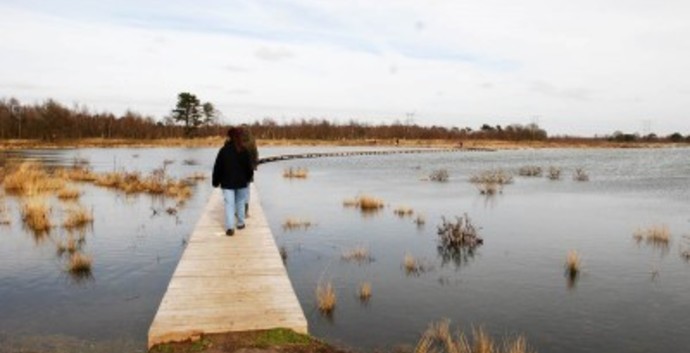Singles Wandelcafé De Moer/ Tilburg, landgoed Huis ter Heide.