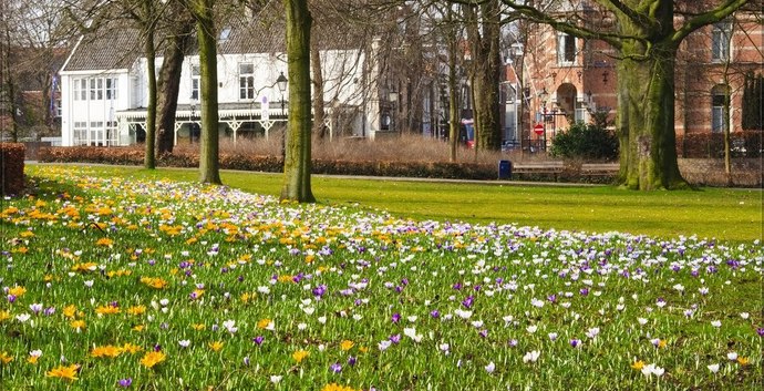 Wandelcafé Den Bosch. Landgoed De Pettelaar. SIngles 40+50+60+