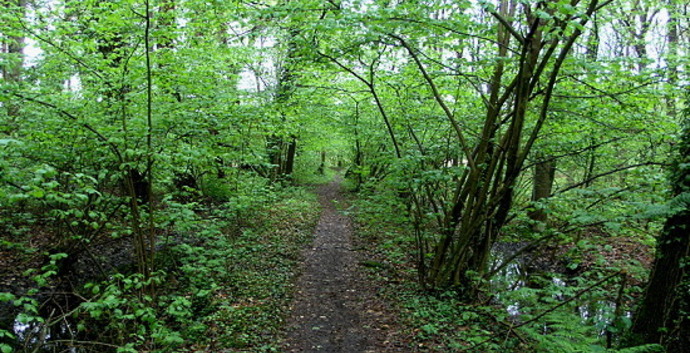 Pasen. Wandelcafé bij Boxtel. De Geelders. Wandelen singles 40+ 50+ 60+