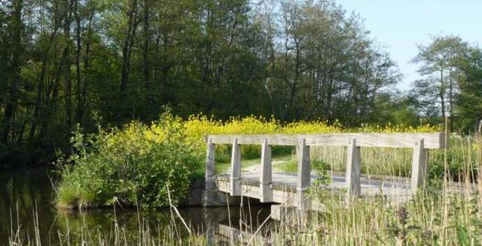 Wandelcafé Amsterdamse Bos. Singles 35+