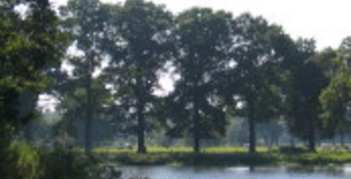 Wandelcafé St. Michielsgestel Dommel en Haanwijk. Wandelen singles 40+ 50+ 60+