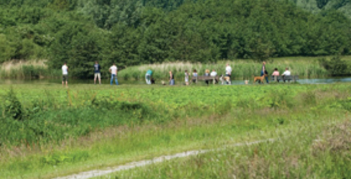 Singles Wandelcafé Rotterdam Hoge en Lage Bergsche Bos