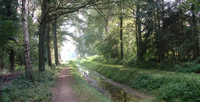 Wandelcafé Oirschot. De Mortelen. Wandelen singles 40+ 50+ 60+