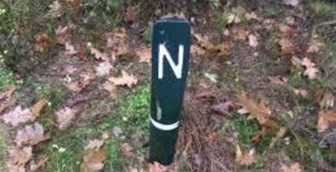 Wandeling Natuurpad Epe 13 km