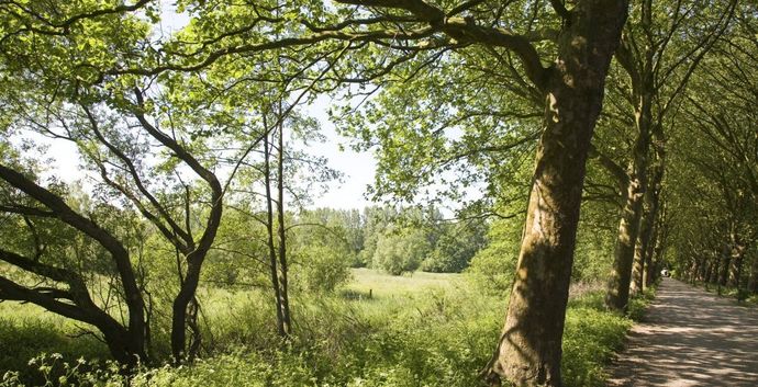 SE Wandelcafe St. Michielsgestel Dommel en Haanwijk. Wandelen singles 40+ 50+ 60+