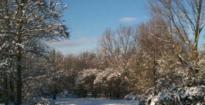 SE 1e Kerstdag Singles wandeling & lunch/1 nacht Apeldoorn. Kerst singles 45+55+